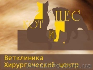 ветклиники Запорожье #739267