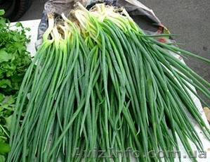 Срочно продается  работающий бизнес #738996