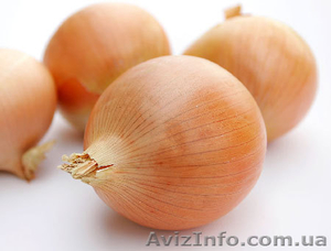 Продам лук,  репчатый,  салатный белый #729373
