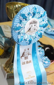 Выставка кошек.XVI Открытый Чемпионат Украины  #739142