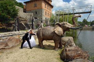 Профессиональный фотограф,  видеосъёмка,  тамада #755519