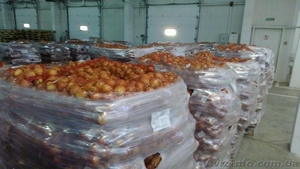 Овощи из экологического района Украины #749588