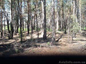 Быковня. Продам  фасадный  участок  10 соток под строительство #754510