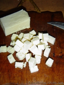 Продам брынзу овечью (болгарскую) #754434