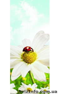 ик обогреватели #761920