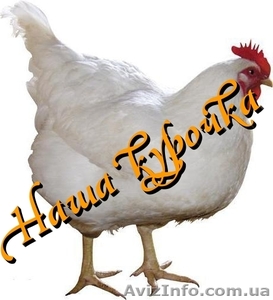 Курица разделка опт окорочка филе бедро крило сердечки печень жылудки #758600