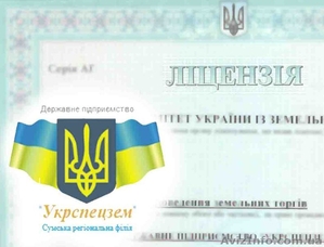 Проведение земельных аукционов #749097