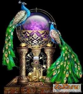 Приворот по белой и черной магии.Анна #763083