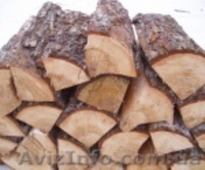 Дрова дубовые, сосновые,  березовые (недорого) #758335
