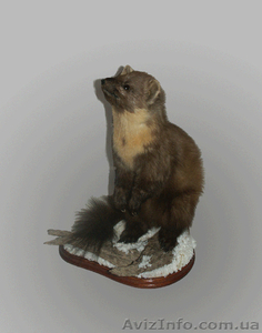 Професійна розробка від 300грн. та підтримка веб-сайтів! #756054