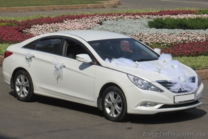 Аренда автомобелей на свадьбу #756754