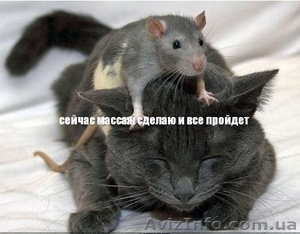 массаж,  депиляция,  выезд на дом #749945