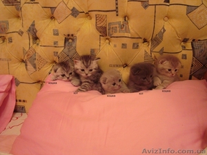 Замурчательный подарок #750106