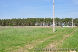 Продам участок под Киевом недорого #757969