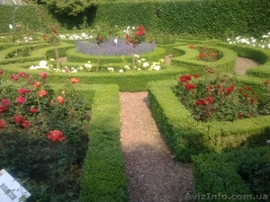 Озелинение Дизайн Продажа ростений #757330