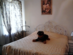 Сдам 2-х комнатную квартиру двухуровневую посуточно в Кировограде (центр).  #750835