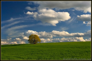 Земельные участки в с.Лукашовка!! 25 соток-7999$!! #760614