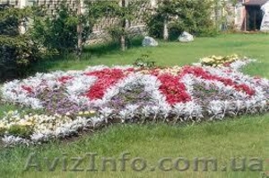 Курсы Ландшафтного дизайна от учебного центра Территория знаний #754961