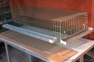 Клетки для содержания перепелов #756906