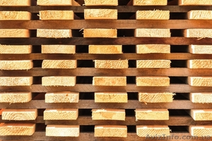 Закупаем доску необрезную (дуб) #759680