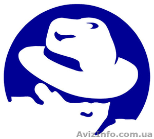 Ликвидация ООО в Украине без проверок #756297