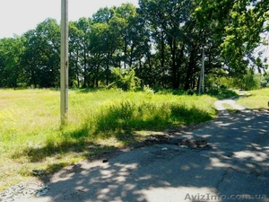 Продам земельну ділянку у с. Дахнівка #752677