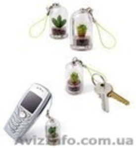 Региональный дистрибьютор #759681