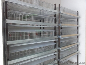 Оборудование для кролиководства,  клетки для кроликов в Украине #775344