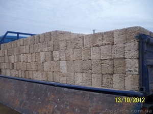 камень-ракушка с доставкой. #772729