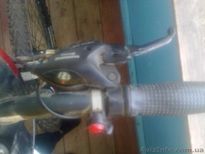 winner ewerest  #771202