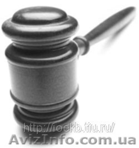 Кредитный должник. Принудительные торги. Судебная защита #774742