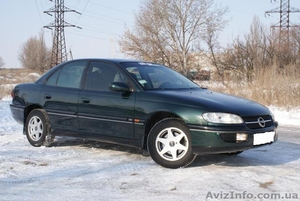 Авто на свадьбу! #772645