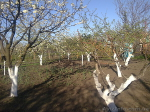 Продам участок недалеко от моря #769541