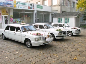 Обслуживание свадебных торжеств  #766532