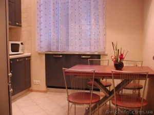 Сдам однокомнатную квартиру в центре харькова. #776003