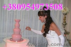 Шоколадный фонтан,  Фонтан для Мартини,  Днепропетровск #773290