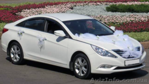 Прокат престижных и ретро автомобилей в Украине.  #780228