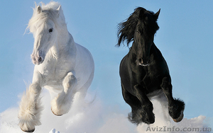 Интерьерная печать #767054