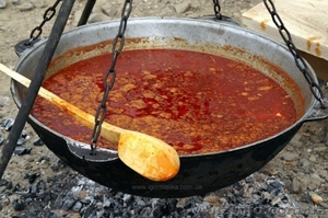 Новый год в Закарпатье 2013 #770660