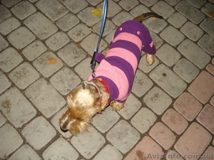 вязаная одежда,  ручная работа #779982