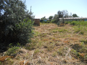 ПРОДАМ УЧАСТОК НА БЕРДЯНСКОЙ КОСЕ #661030