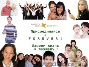 Приглашаем дистрибьюторов #773289