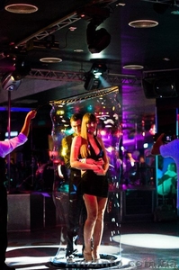 Шоу гигантских мыльных пузырей #776229