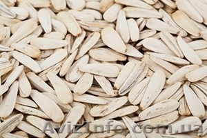 Семечки белые (турецкие) #772372