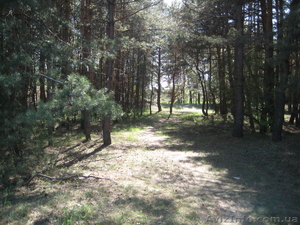 Продам  земельну  ділянку  с.Клюшники #772518