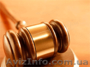 Судебный адвокат (поверенный):претензионно-исковая деятельность #766371