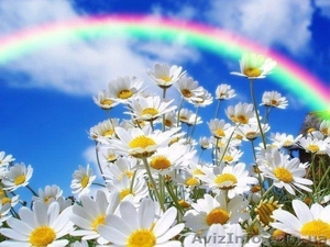 boikosvet_589@mail.ru #779008