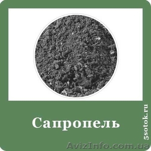 Маркетинговое исследование мирового и украинского рынка удобрений #781134