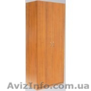 Шкаф платяной,  Справа полочки,  Шкаф-07,  РТВ,  для дома. #782009