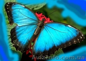 Курс «3DMax», разработка дизайна,  создание видеоигр #777055